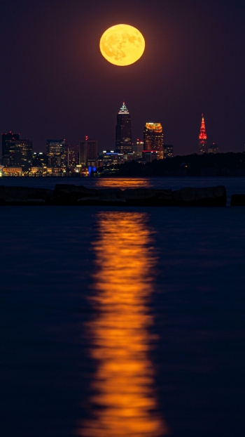 Летние ночи созданы для того, чтобы жить.