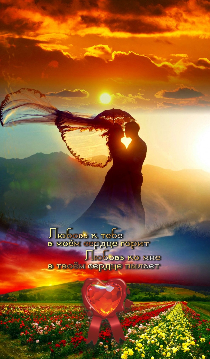 Никого. Только ночь и свобода.