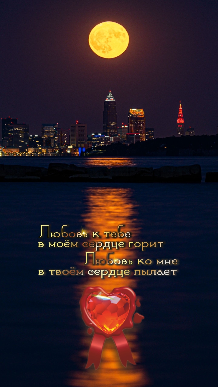 Летние ночи созданы для того, чтобы жить.