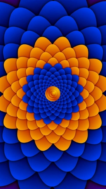 Из двух ссорящихся виновен тот, кто умней.