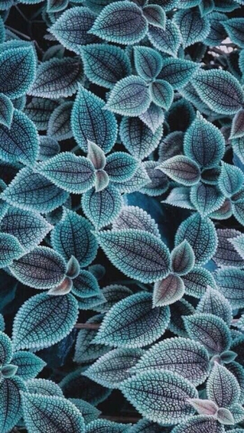 Кто в беде покинул друга, сам узнает горечь бед.