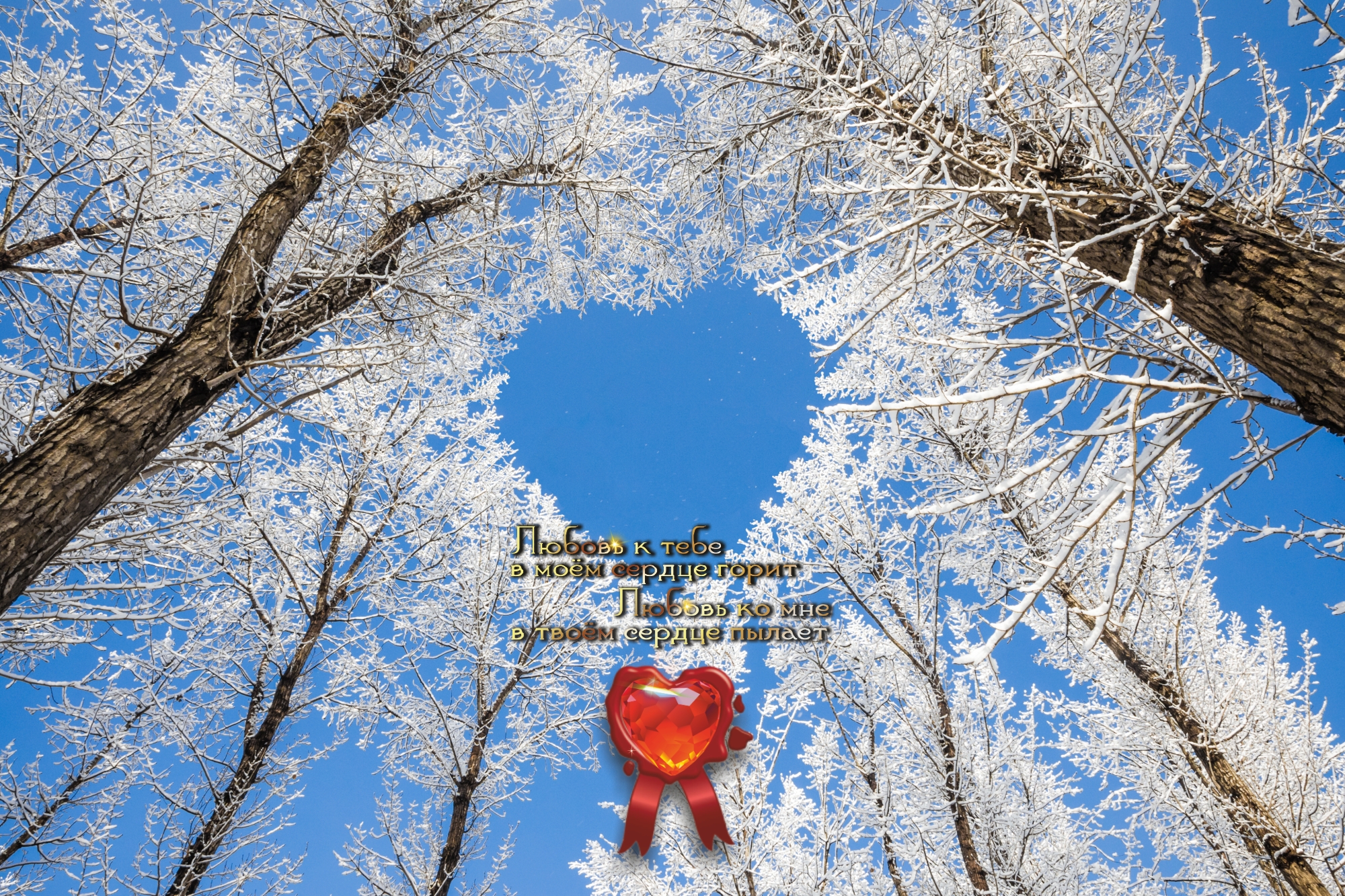 Как прекрасен может быть день, когда к нему прикасается доброта!