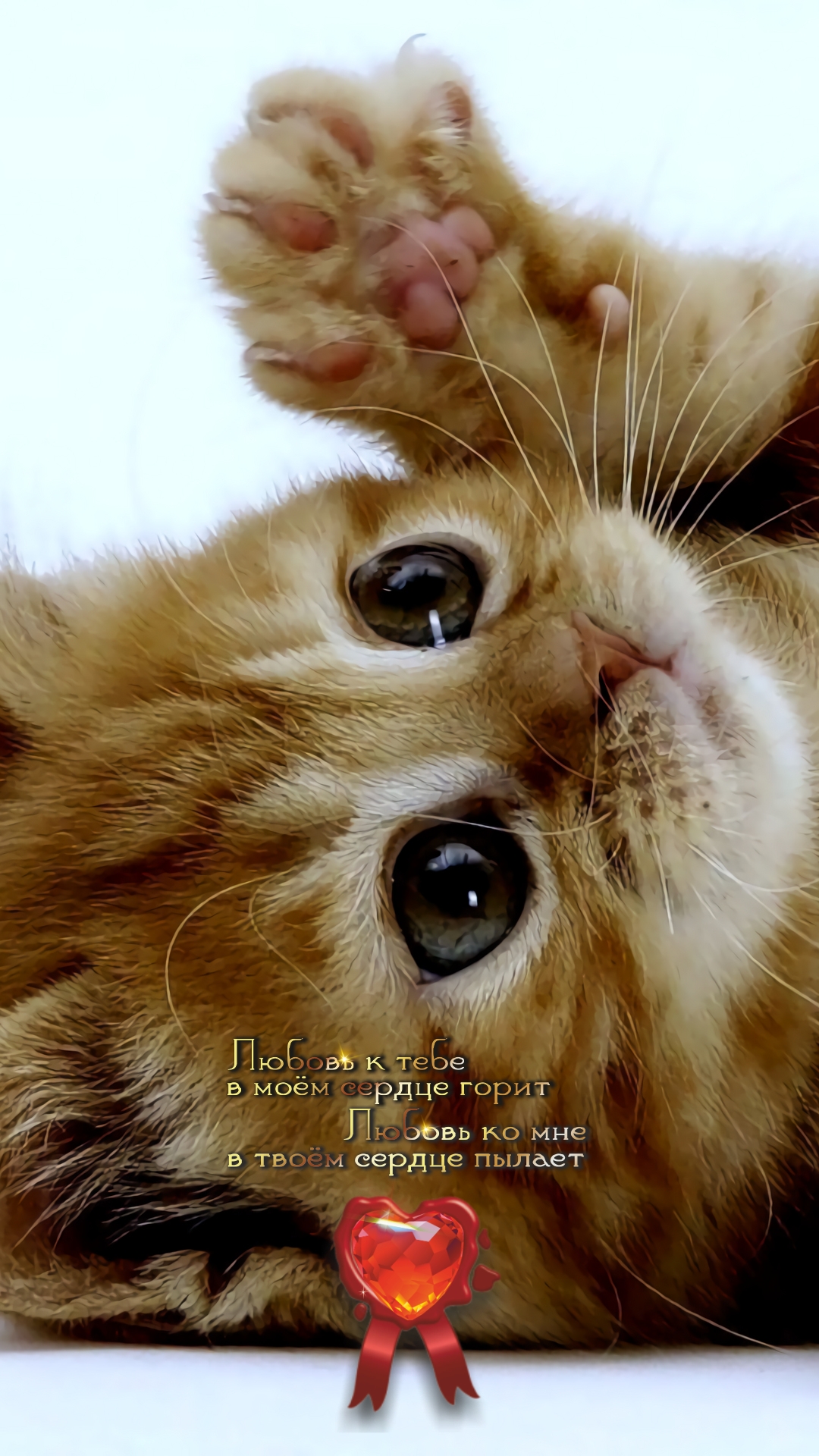 Будь добрым к тем, кто от тебя зависит.