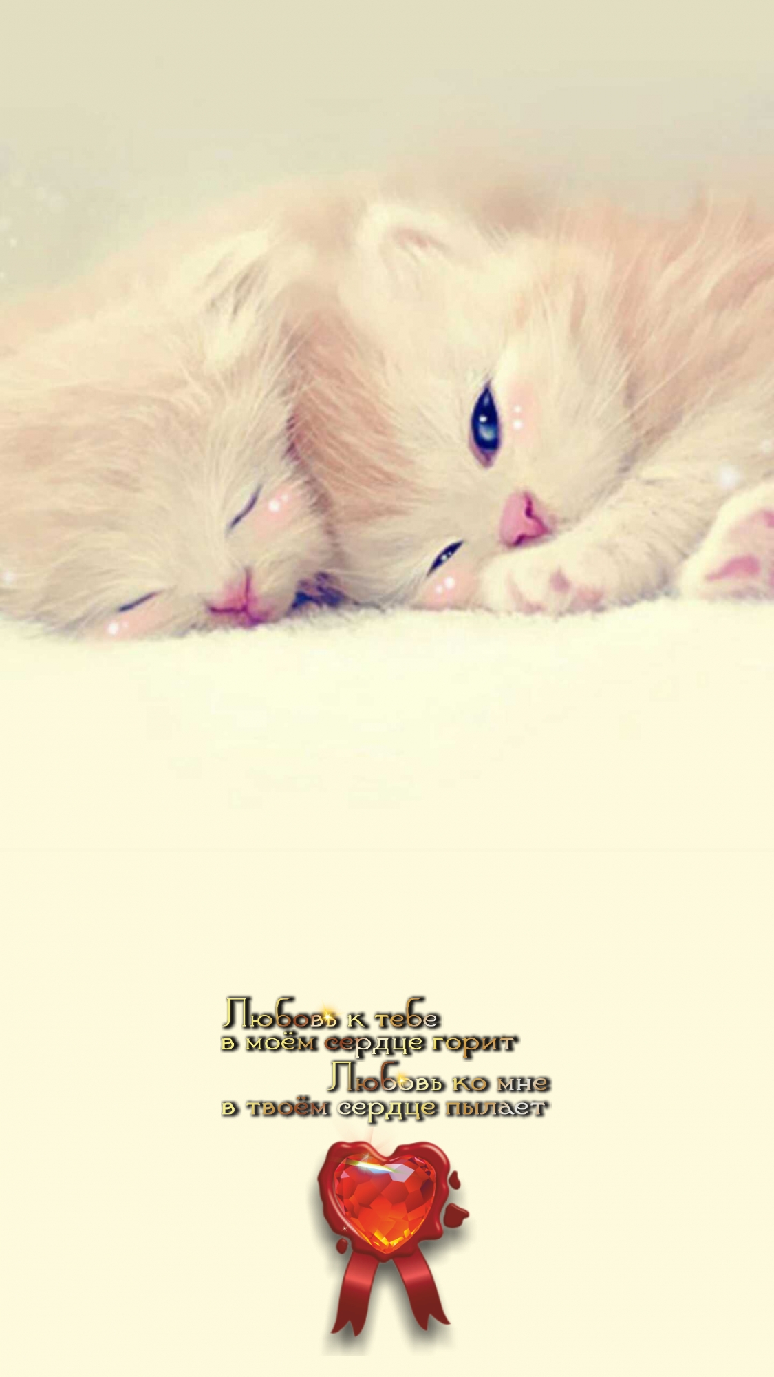 Красотой любуются, а доброту любят.