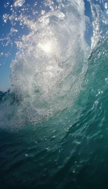 generated_image_d933a01f230511efba157addb932874a