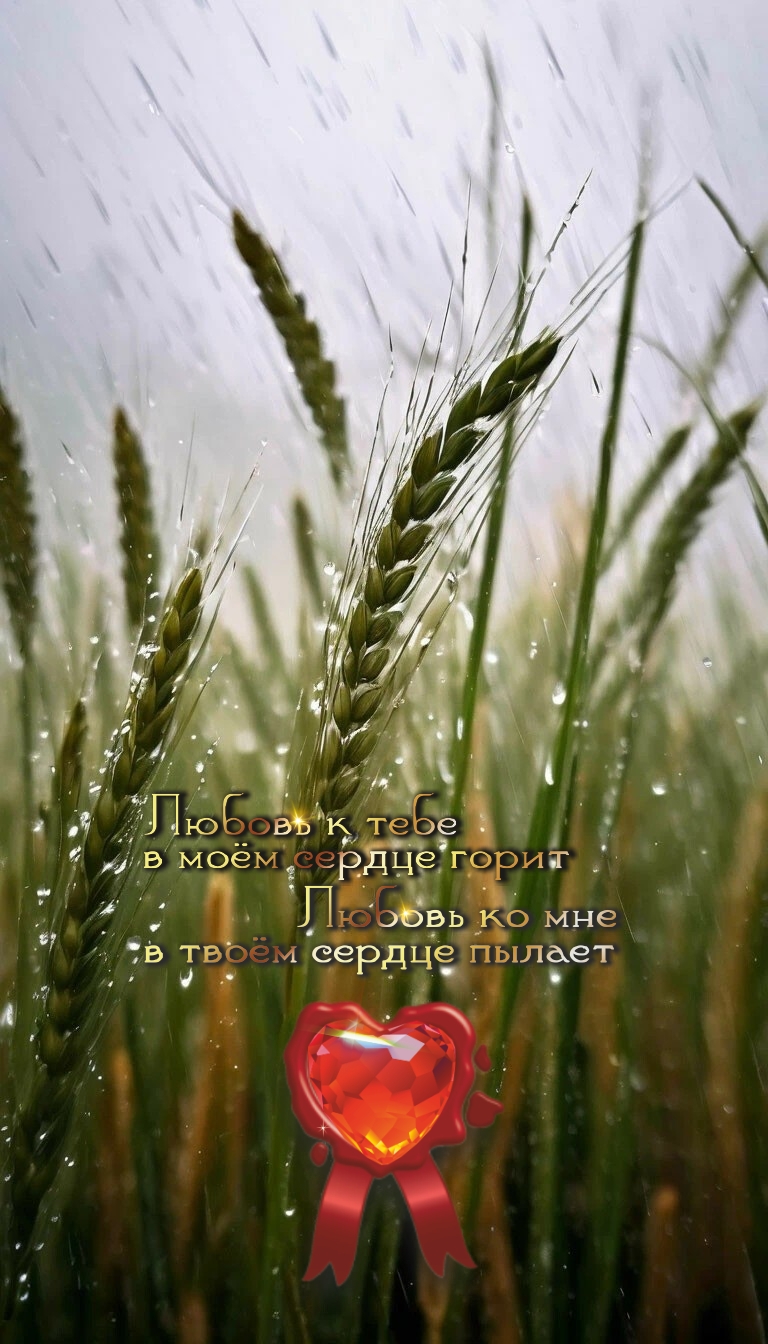 Скоро урожай